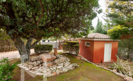 2405-Monasterios-Paseo Porta Coeli_7-015+marca