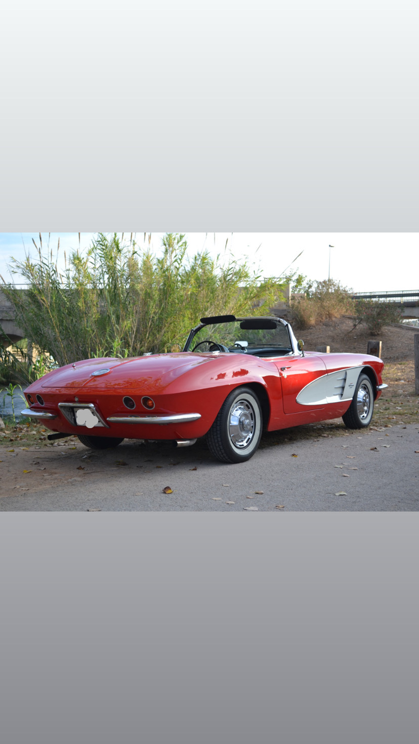 Chevrolet / C1 CORVETTE