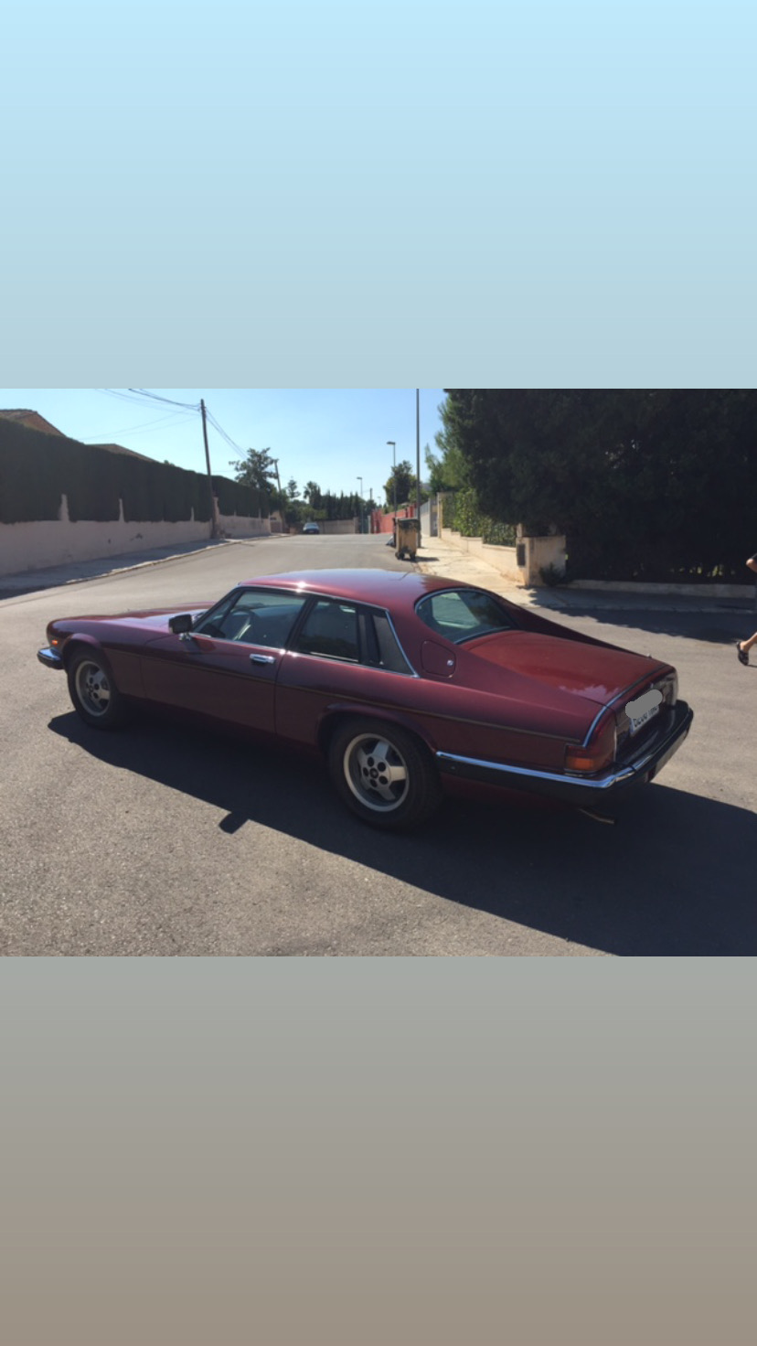 Jaguar / XJS V12 295CV