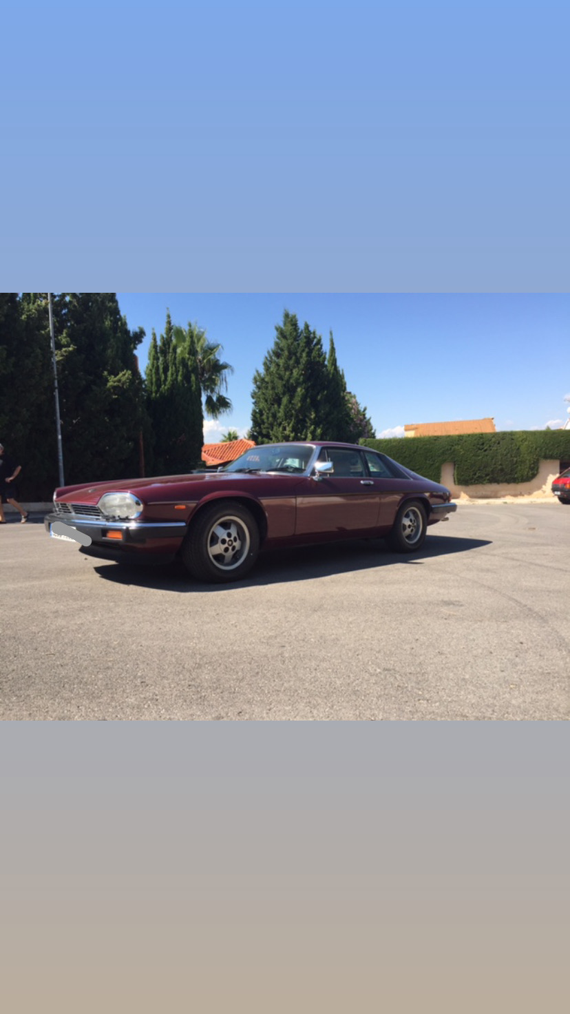 Jaguar / XJS V12 295CV