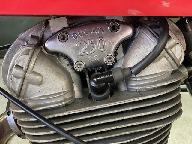 Ducati / 24 horas 