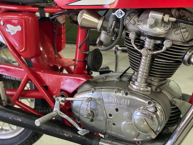 Ducati / 24 horas 